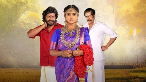 Chinna Marumagal Serial
