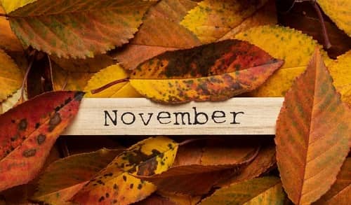 November