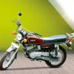 RX 100