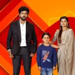 Paluke Bangaramayena Serial
